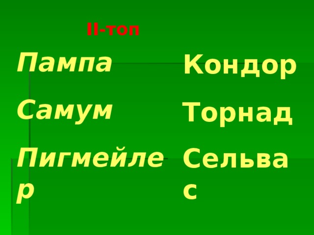 ІІ-топ Пампа Самум Пигмейлер Кондор Торнад Сельвас