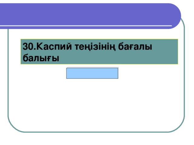 30.Каспий теңізінің бағалы балығы Бекіре