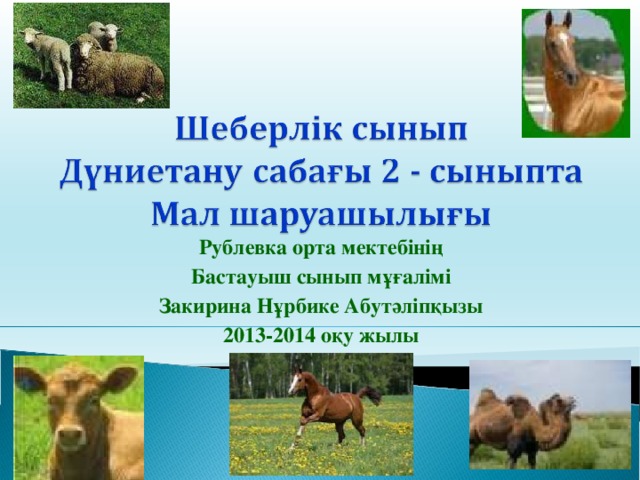 Рублевка орта мектебінің Бастауыш сынып мұғалімі Закирина Нұрбике Абутәліпқызы 2013-2014 оқу жылы