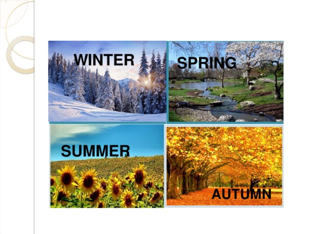 WINTER     SPRING   SUMMER   AUTUMN SPRING WINTER SPRING SUMMER AUTUMN