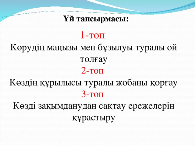 Үй тапсырмасы:  1-топ Көрудің маңызы мен бұзылуы туралы ой толғау 2-топ Көздің құрылысы туралы жобаны қорғау 3-топ Көзді зақымданудан сақтау ережелерін құрастыру