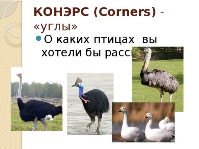 КОНЭРС (Corners)  - «углы»