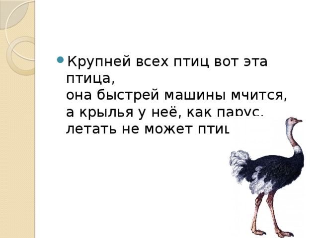 Крупней всех птиц вот эта птица,  она быстрей машины мчится,  а крылья у неё, как парус,  летать не может птица...