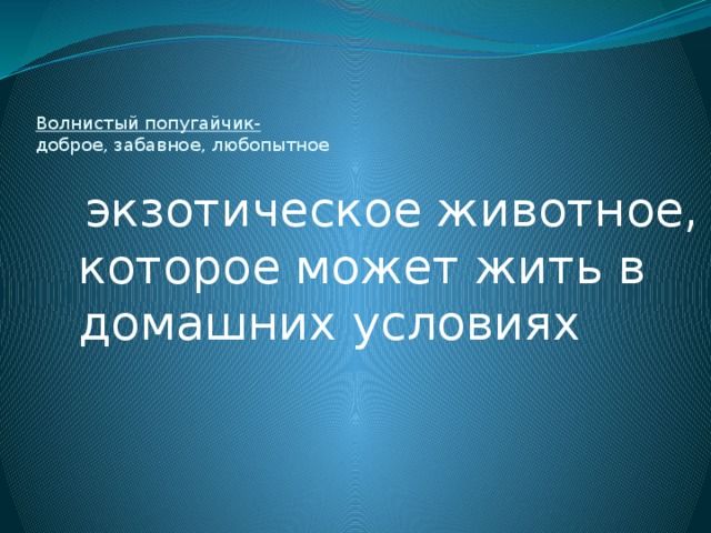 Волнистый попугайчик-  доброе, забавное, любопытное  экзотическое животное, которое может жить в домашних условиях