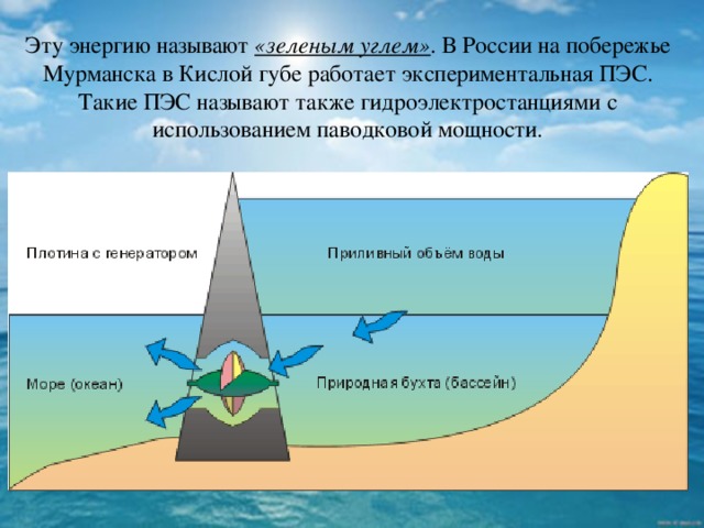 Эту энергию называют «зеленым углем» . В России на побережье Мурманска в Кислой губе работает экспериментальная ПЭС. Такие ПЭС называют также гидроэлектростанциями с использованием паводковой мощности.