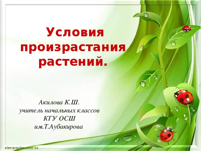 Условия произрастания  растений.   Акилова К.Ш. учитель начальных классов КГУ ОСШ им.Т.Аубакирова