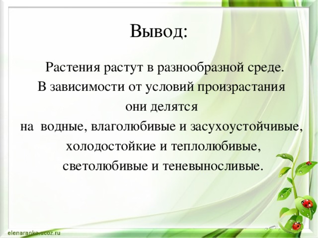 Вывод:  Растения растут в разнообразной среде. В зависимости от условий произрастания  они делятся на водные, влаголюбивые и засухоустойчивые,  холодостойкие и теплолюбивые,  светолюбивые и теневыносливые.