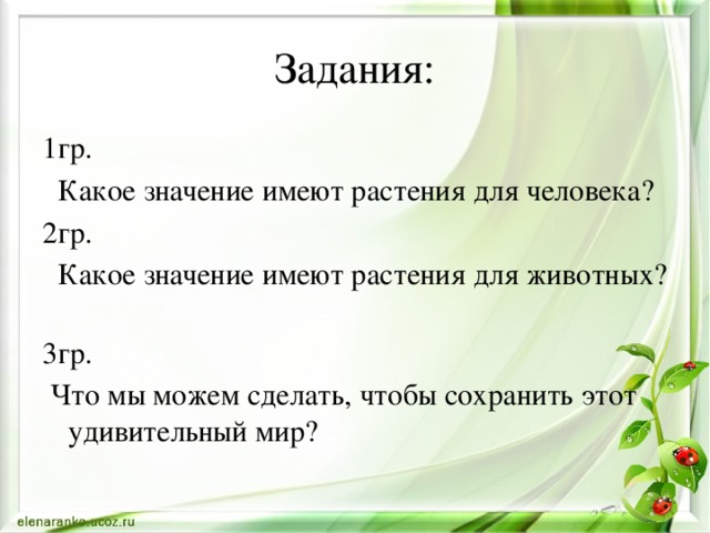 Задания: 1гр.  Какое значение имеют растения для человека? 2гр.  Какое значение имеют растения для животных? 3гр.  Что мы можем сделать, чтобы сохранить этот удивительный мир?