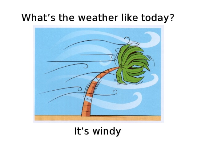 1 what is the weather like today. It's Windy today. Its Windy картинки. Как будет по английски Windy. What is the weather like today.