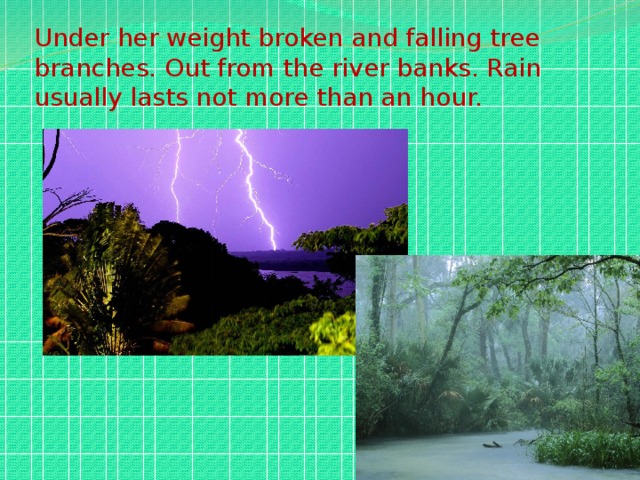 Under her weight broken and falling tree branches. Out from the river banks. Rain usually lasts not more than an hour.