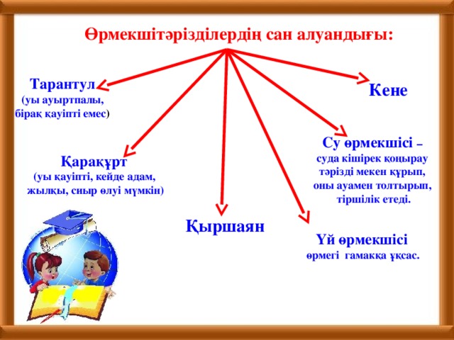 Өрмекшітәрізділердің сан алуандығы: Тарантул  (уы ауыртпалы, бiрақ қауiптi емес )   Кене Су өрмекшiсi – суда кiшiрек қоңырау тәрiздi мекен құрып, оны ауамен толтырып, тiршiлiк етедi.   Қарақұрт (уы қауiптi, кейде адам, жылқы, сиыр өлуi мүмкiн) Қыршаян Үй өрмекшiсi  өрмегi гамакқа ұқсас.