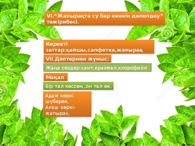 VI.“ Жапырақта су бар екенін дәлелдеу ” тәжірибесі. Керекті заттар : қайшы,салфетка,жапырақ VII .Дәптермен жұмыс : Жаңа сөздер : қант,крахмал,хлорофилл Мақал Бір тал кессең ,он тал ек. Адам көркі шүберек , Ағаш көркі-жапырақ.