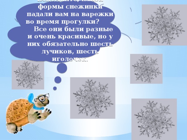 Вспомните, какой формы снежинки падали вам на варежки во время прогулки? Все они были разные и очень красивые, но у них обязательно шесть лучиков, шесть иголочек.