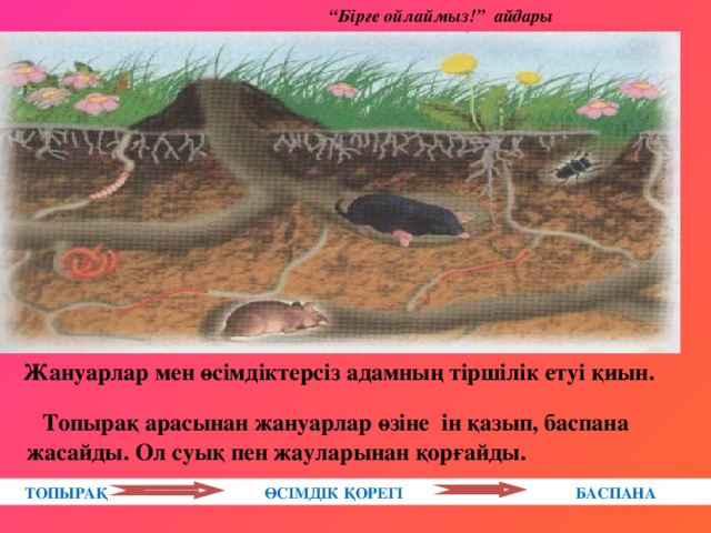 “ Бірге ойлаймыз!” айдары  Жануарлар мен өсімдіктерсіз адамның тіршілік етуі қиын.  Топырақ арасынан жануарлар өзіне ін қазып, баспана жасайды. Ол суық пен жауларынан қорғайды.  ТОПЫРАҚ  ӨСІМДІК ҚОРЕГІ  БАСПАНА