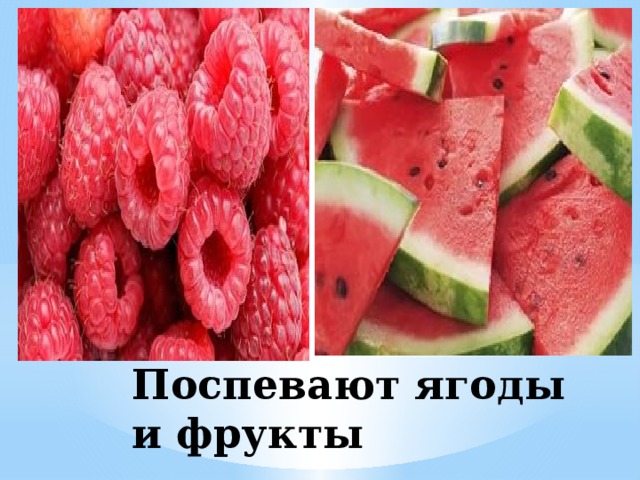 Поспевают ягоды и фрукты