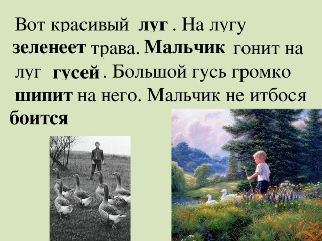 Вот красивый улг . На лугу етнелезе трава. Чикмаль гонит на луг сейгу . Большой гусь громко питши на него. Мальчик не итбося гуся. луг зеленеет Мальчик гусей шипит боится