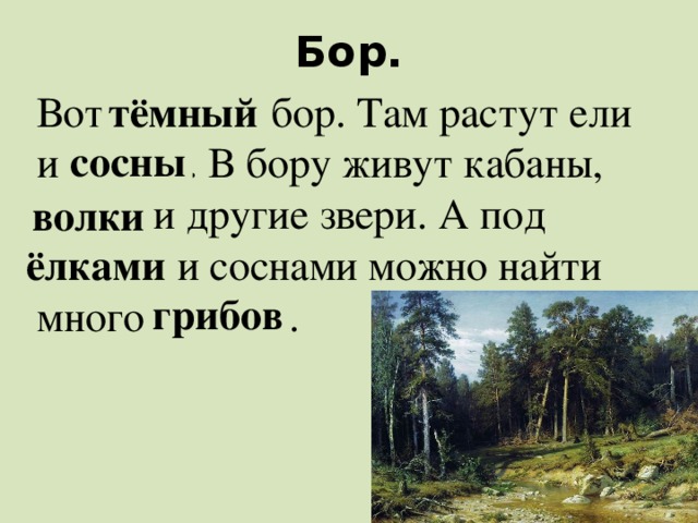 Бор. Вот ныйтём бор. Там растут ели и нысос . В бору живут кабаны, кивол и другие звери. А под каёлми и соснами можно найти много бовгри . тёмный сосны волки ёлками грибов