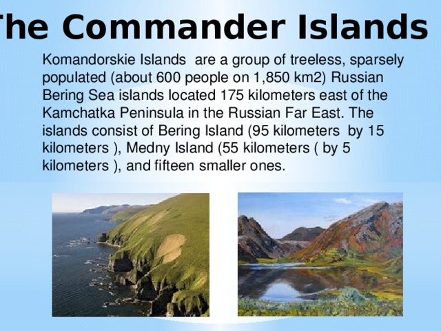 The Commander Islands Komandorskie Islands are a group of treeless, sparsely populated (about 600 people on 1,850 km2) Russian Bering Sea islands located 175 kilometers east of the Kamchatka Peninsula in the Russian Far East. The islands consist of Bering Island (95 kilometers by 15 kilometers ), Medny Island (55 kilometers ( by 5 kilometers ), and fifteen smaller ones.