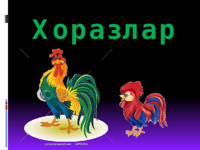 Хоразлар