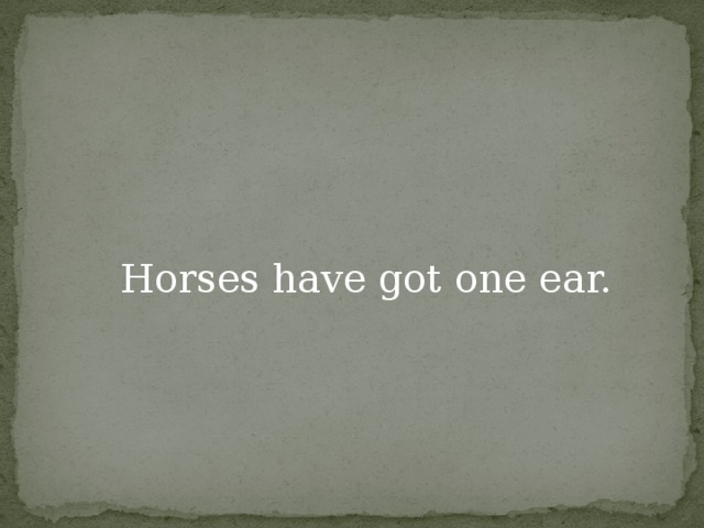 Horses have got one ear.