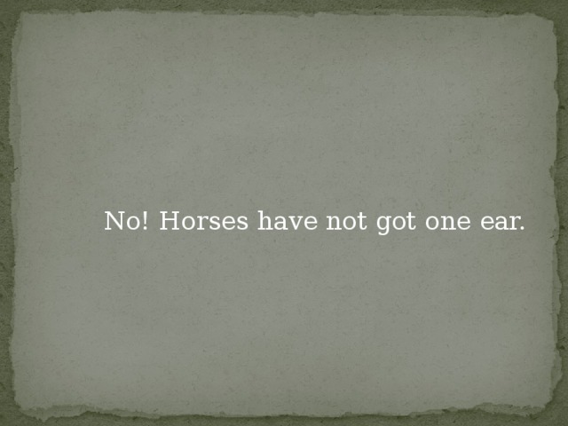 No! Horses have not got one ear.