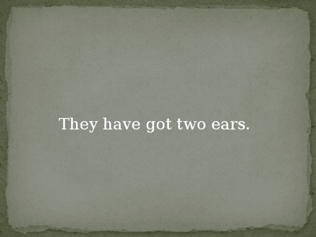 They have got two ears.