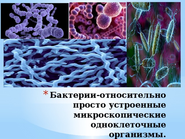 Бактерии-относительно просто устроенные микроскопические одноклеточные организмы.