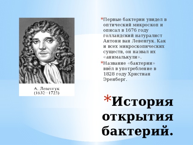 Первые бактерии увидел в оптический микроскоп и описал в 1676 году голландский натуралист Антони ван Левенгук. Как и всех микроскопических существ, он назвал их «анималькули». Название «бактерии» ввёл в употребление в 1828 году Христиан Эренберг. История открытия бактерий.