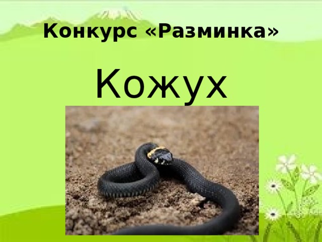 Конкурс «Разминка» Кожух