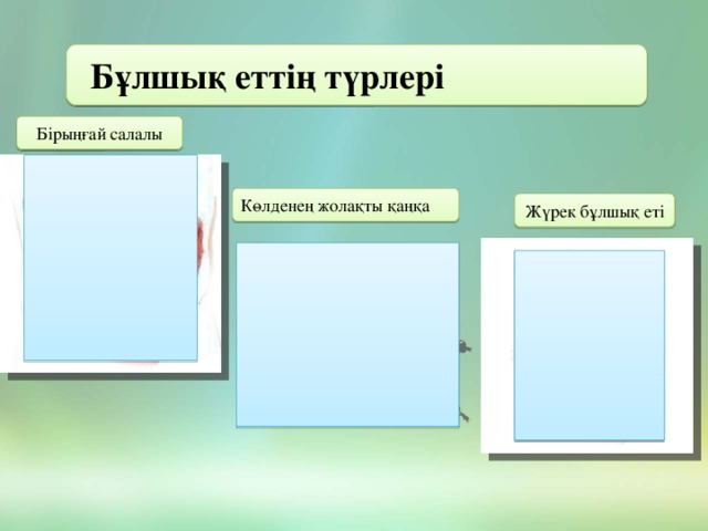 Бұлшық еттің түрлері Бірыңғай салалы Көлденең жолақты қаңқа Жүрек бұлшық еті