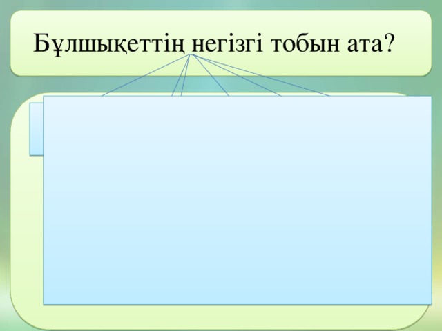 Бұлшықеттің негізгі тобын ата? Құрсақтың бұлшықеті Көкіректің бұлшықеті Бас пен мойын Аяқтың бұлшықеті Қолдың бұлшықеті Тұлғаның бұлшыұеттері