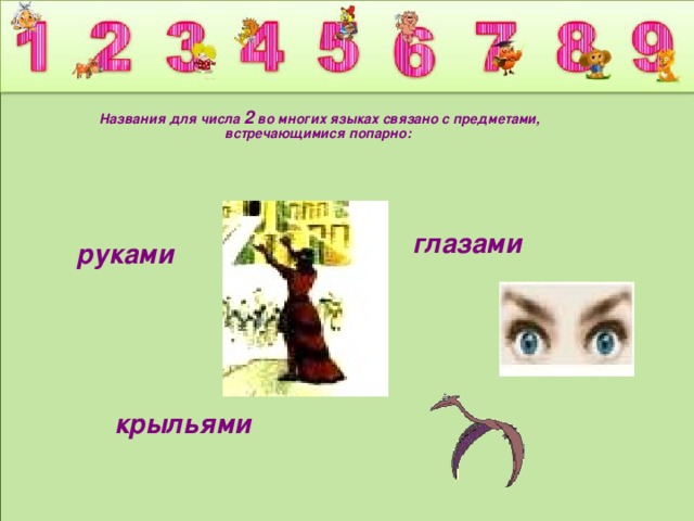 Названия для числа 2 во многих языках связано с предметами, встречающимися попарно:              глазами руками    крыльями