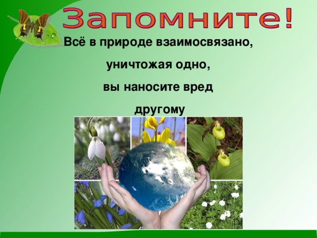 Всё в природе взаимосвязано, уничтожая одно, вы наносите вред другому