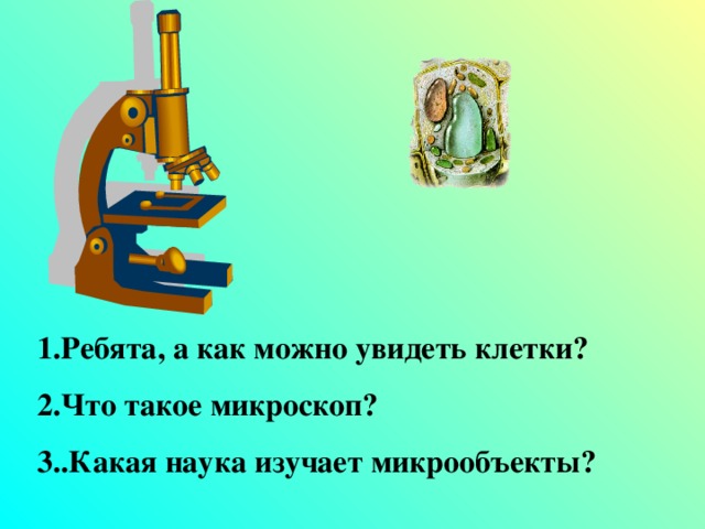 1.Ребята, а как можно увидеть клетки? 2.Что такое микроскоп? 3..Какая наука изучает микрообъекты?