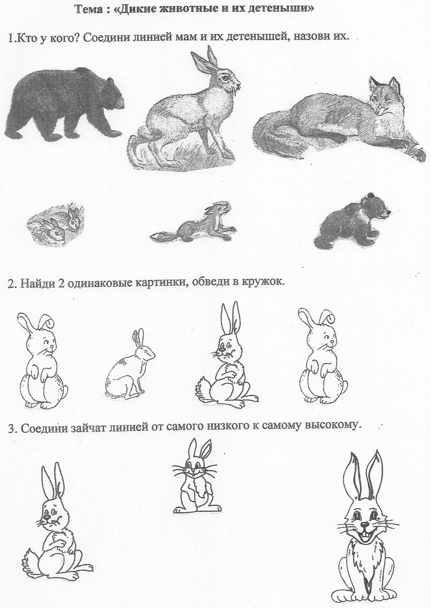Развитие речи зайцы старшая группа. Задания по теме Дикие животные. Дикие животные задания для дошкольников. Логопедические задания Дикие животные. Задания для детей Дикие животные зимой.