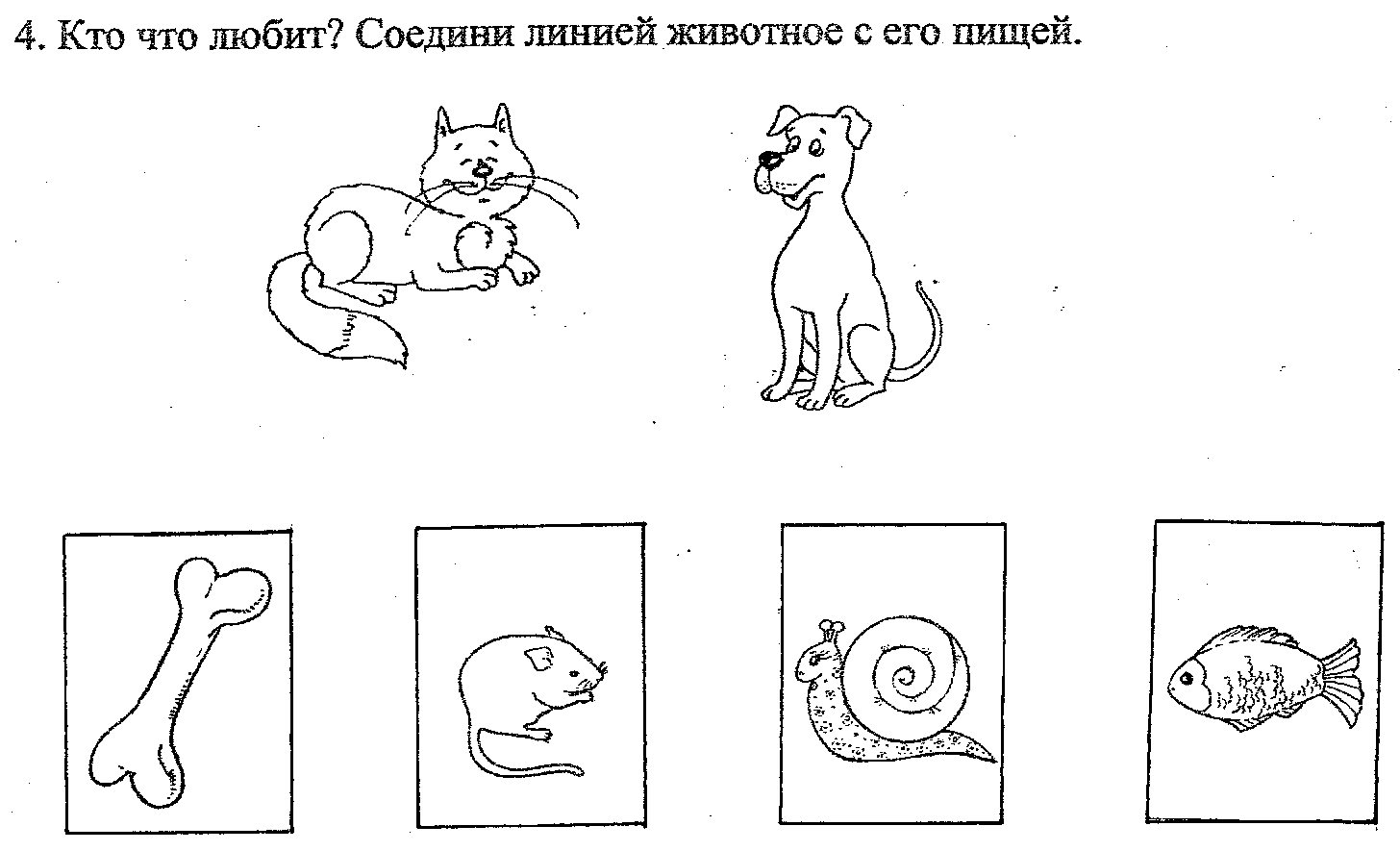 Рисунки домашних животных в средней группе