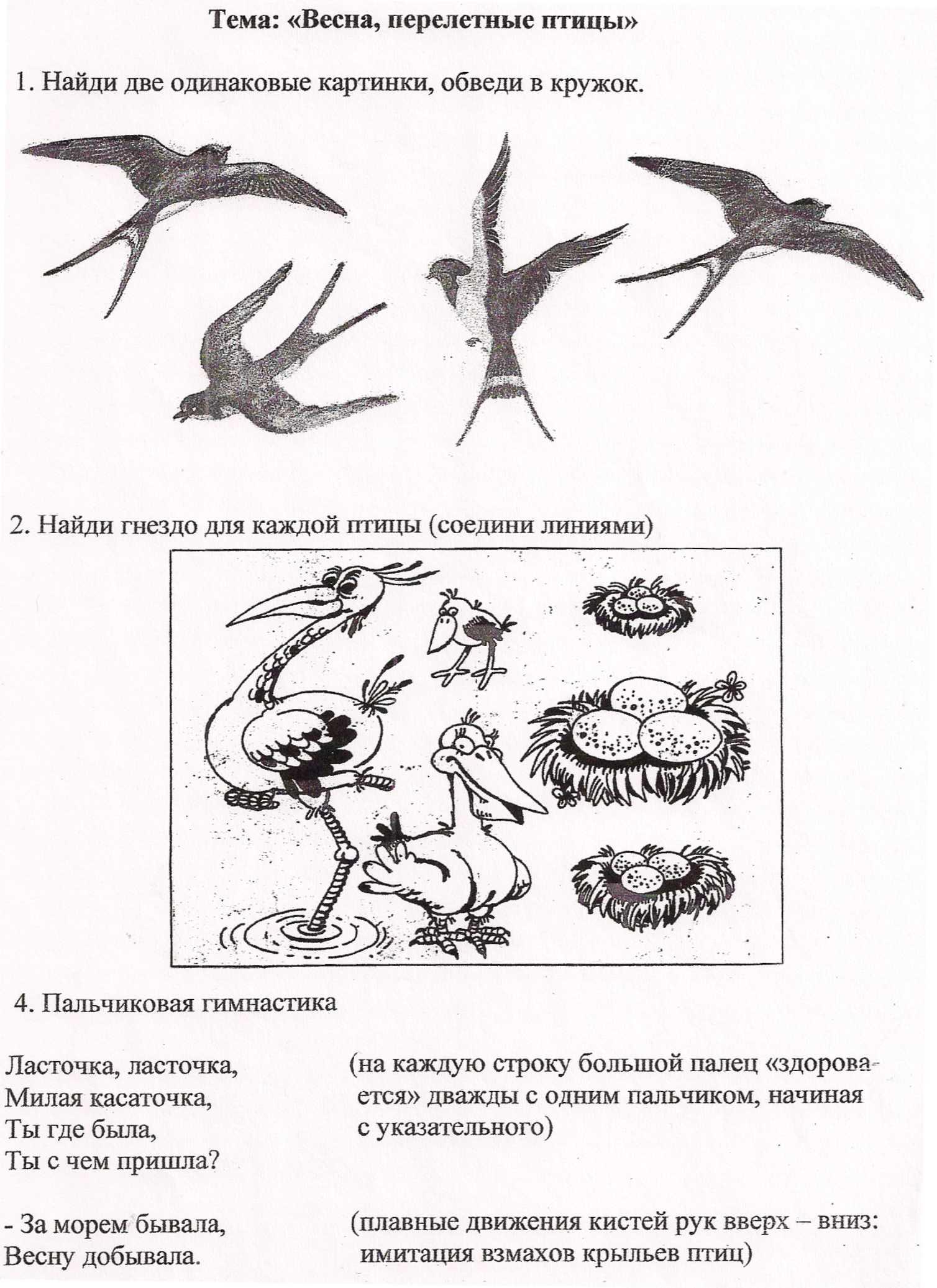 Домашние логопедические задания перелетные птицы