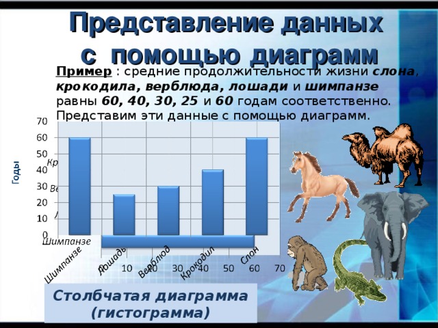 Представление данных  с помощью диаграмм Пример : средние продолжительности жизни слона , крокодила, верблюда, лошади и шимпанзе равны 60, 40, 30, 25 и 60 годам соответственно. Представим эти данные с помощью диаграмм. Линейная диаграмма Столбчатая диаграмма (гистограмма)