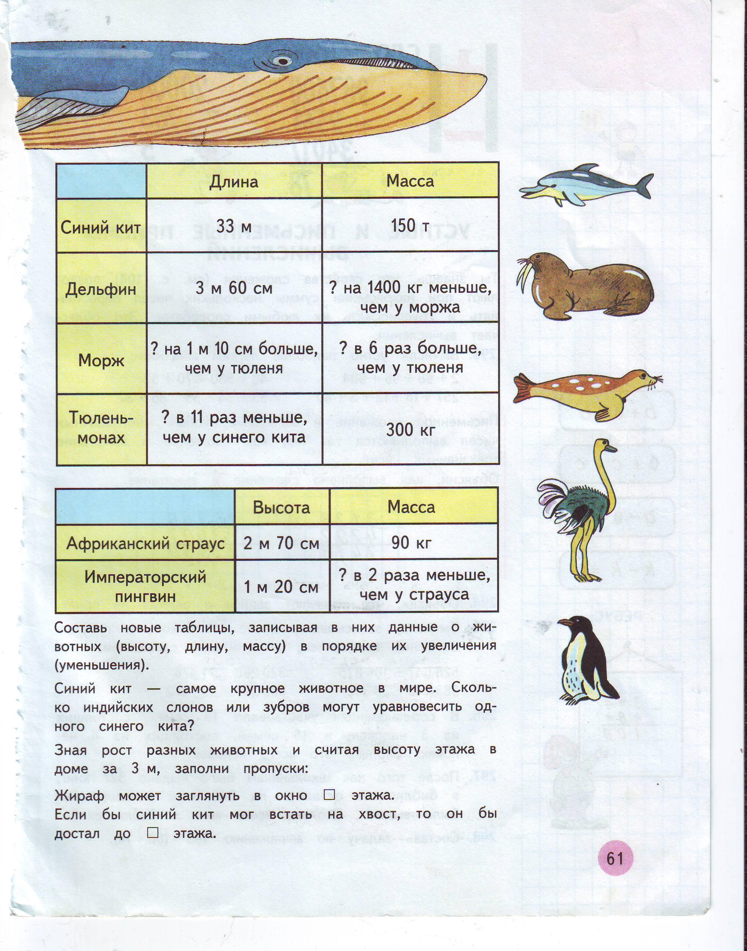 Высоту с массой в 4