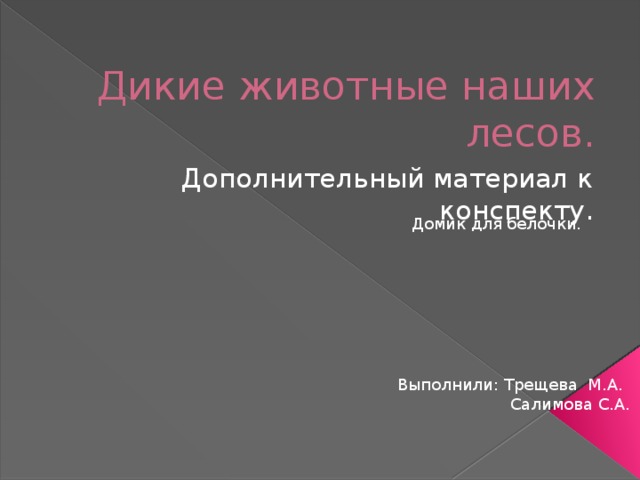 Дикие животные наших лесов. Дополнительный материал к конспекту. Домик для белочки. Выполнили: Трещева М.А.  Салимова С.А.