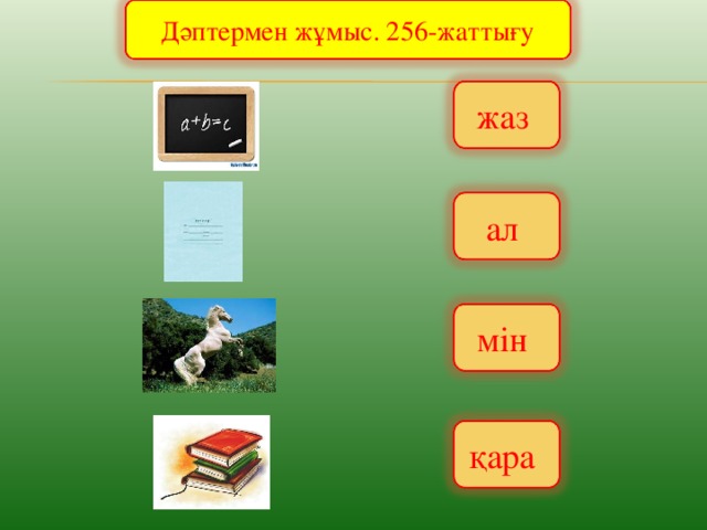 Дәптермен жұмыс. 256-жаттығу жаз ал мін қара