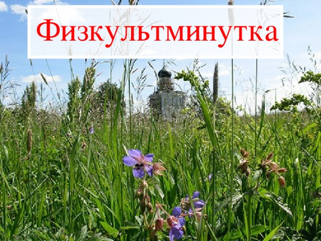 Физкультминутка