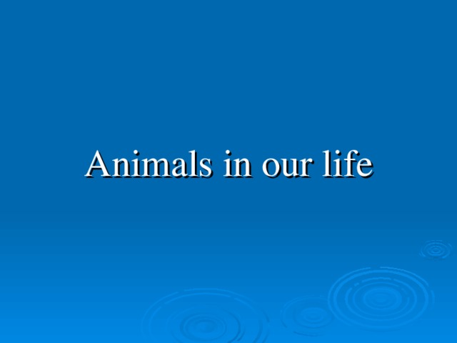 Animals in our life