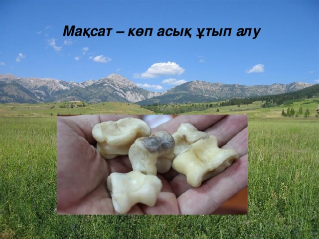 Мақсат – көп асық ұтып алу