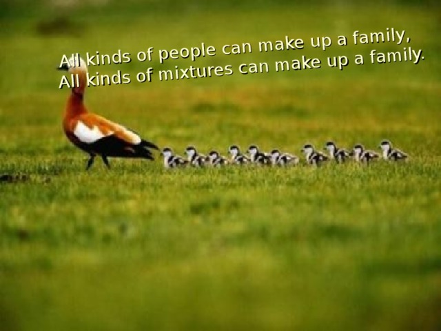 All kinds of people can make up a family,  All kinds of mixtures can make up a family.