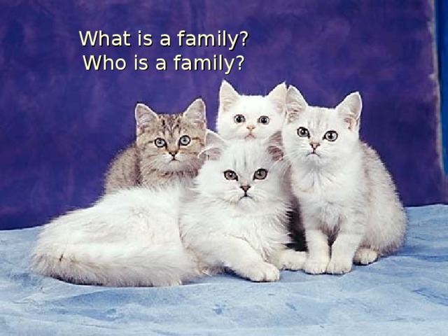 What is a family?  Who is a family?