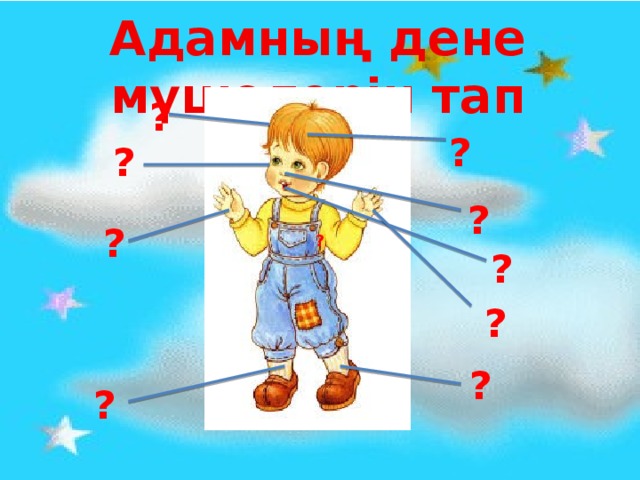 Адамның дене мүшелерін тап ? ? ? ? ? ? ? ? ? ?