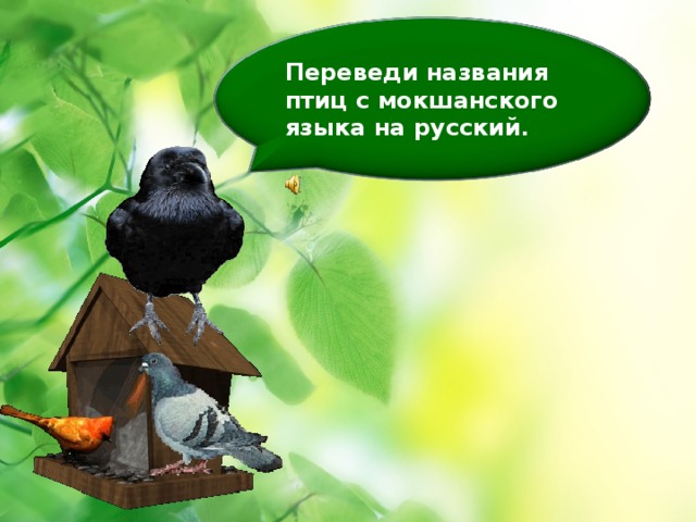 Переведи названия птиц с мокшанского языка на русский .