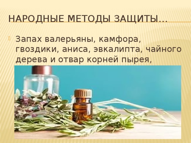 Народные методы защиты…