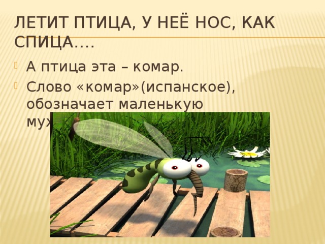 Летит птица, у неё нос, как спица….